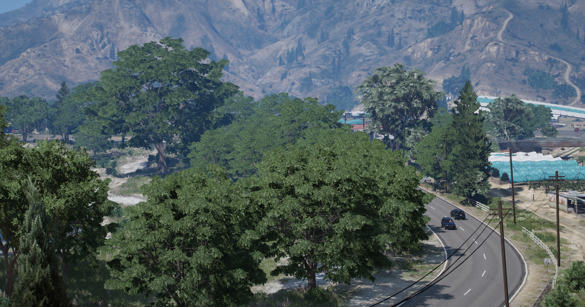 Green Grapeseed